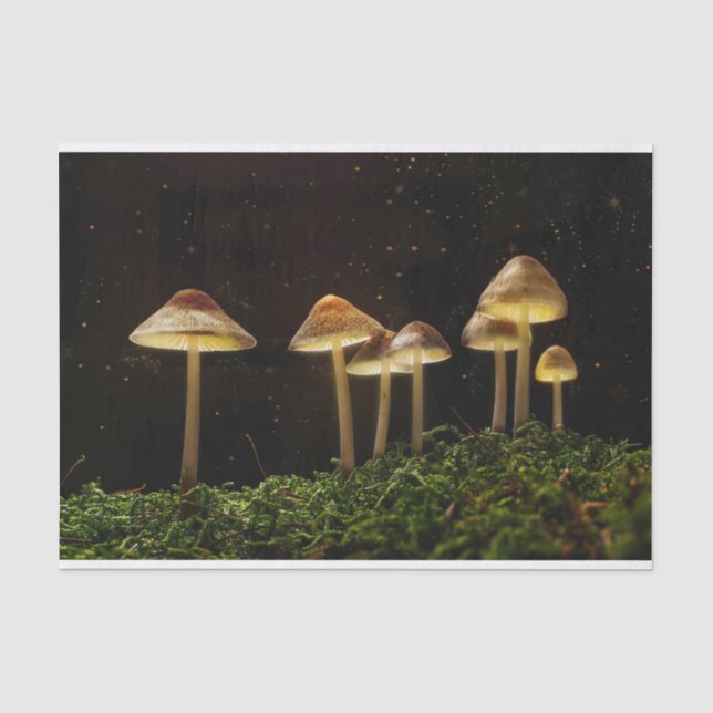 Papier Mousseline Champignons brillants nocturnes étoilés (Recto)