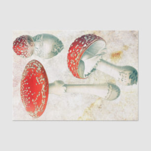 Papier Mousseline Champignons rouges morel fond décoloré en détresse