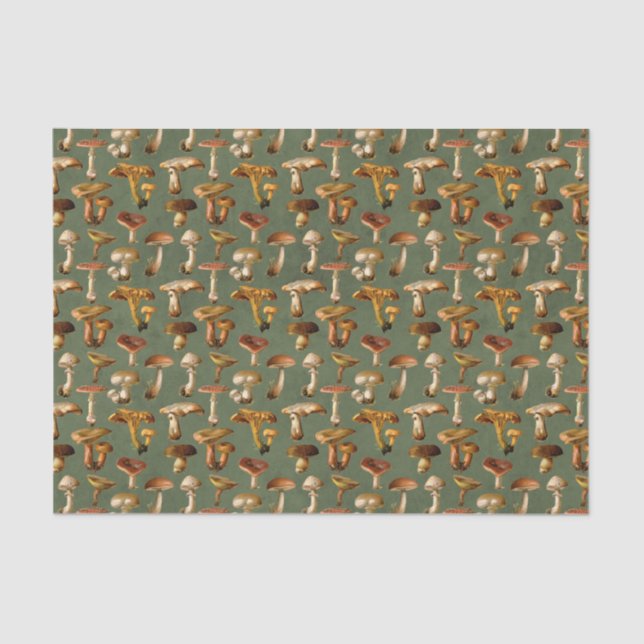 Papier Mousseline Champignons sauvages vintages (Recto)