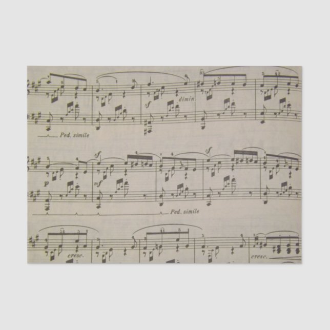 Papier Mousseline Chanson de ressort (Recto)