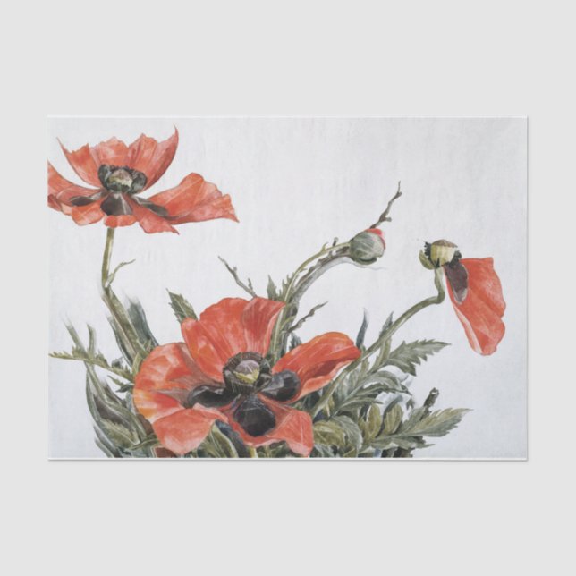 Papier Mousseline Charles Demuth | Poppies rouges (1929) (Recto)