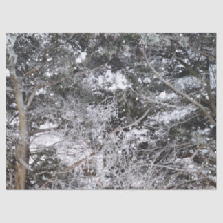 Papier Mousseline Chasse au Camouflage Motif de neige 4