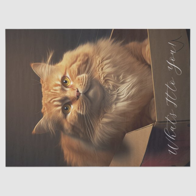 Papier Mousseline Chat Dans La Boîte À Chaussures - Chat Sarcastique (Recto)