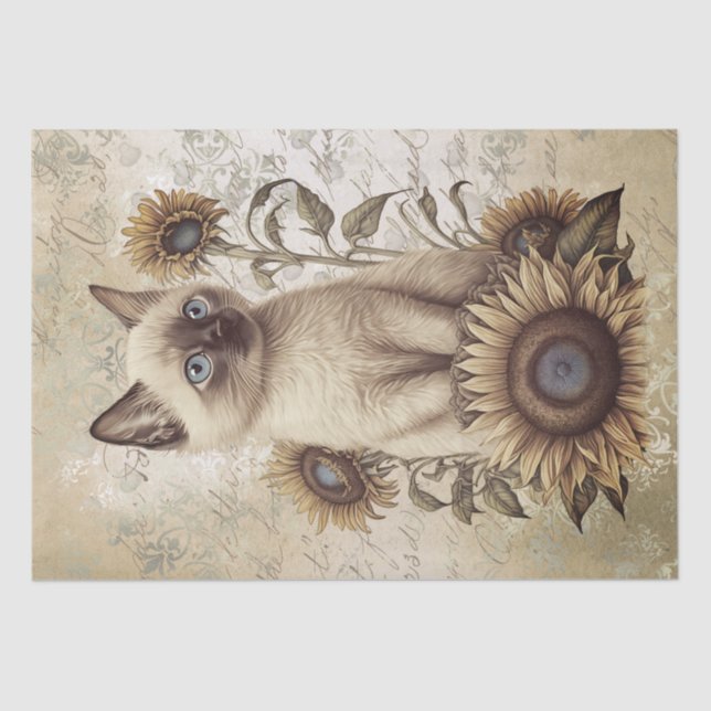 Papier Mousseline Chat de tournesol Siamese Kitten (Recto)