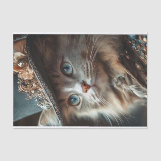 Papier Mousseline Chat Lyfe2 (Recto)