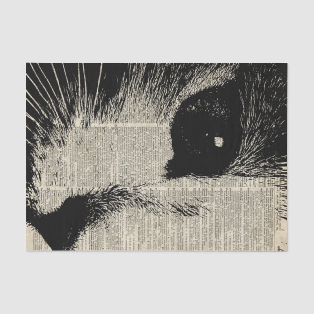 Papier Mousseline Chat mignon, beau pochoir de chaton au-dessus de (Recto)