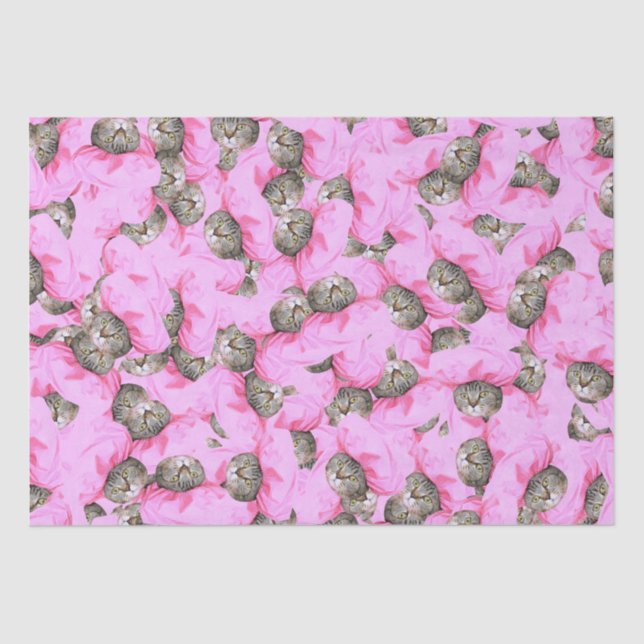 Papier Mousseline Chat mignon dans un Motif Casquette rose (Recto)