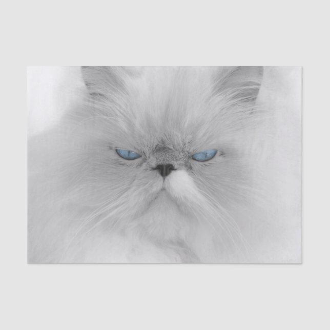 Papier Mousseline Chat persan grognon (Recto)