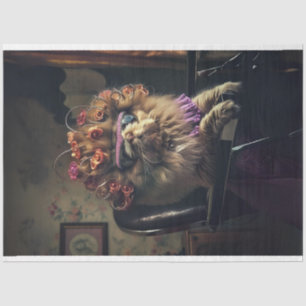 Papier Mousseline Chat perse dans une boutique de beauté Feline Déco