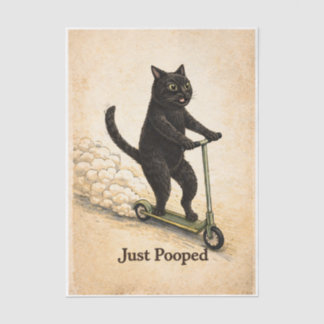 Papier Mousseline Chat Zoomies