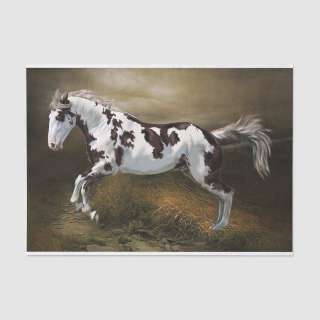 Papier Mousseline Châtaigner cadre Tovero Paint Horse (Recto)
