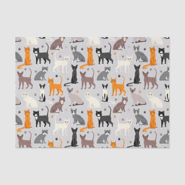 Papier Mousseline Chats et Empreintes de pattes (Recto)