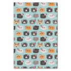 Chats persans de fantaisie