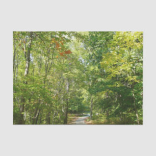 Papier Mousseline Chemin boisé centenaire I Ellicott City Nature