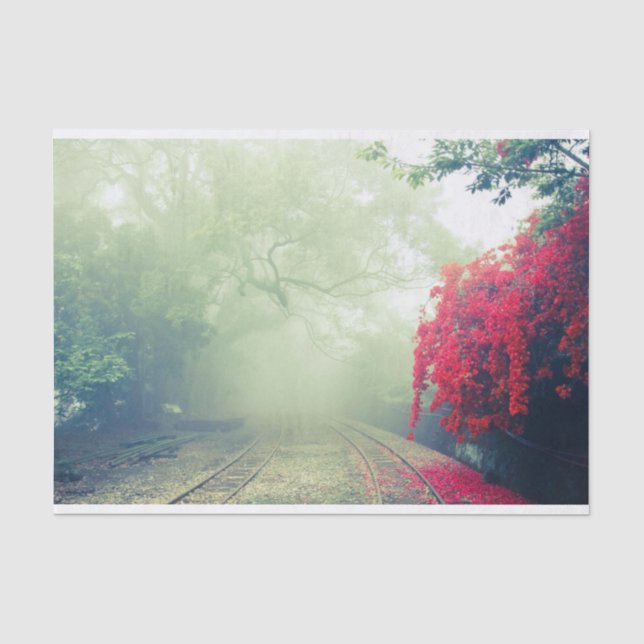 Papier Mousseline Chemins de fer Misty Photo Pittoresque (Recto)