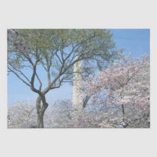 Papier Mousseline Cherry Blossoms et le monument de Washington à DC