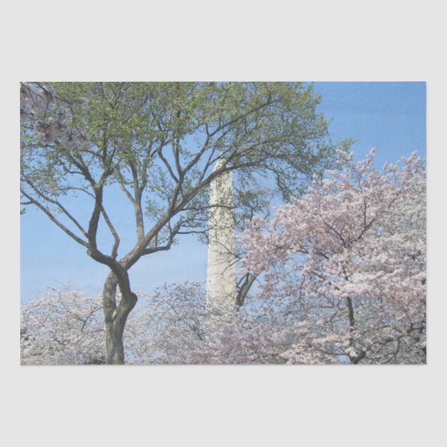 Papier Mousseline Cherry Blossoms et le monument de Washington à DC (Recto)