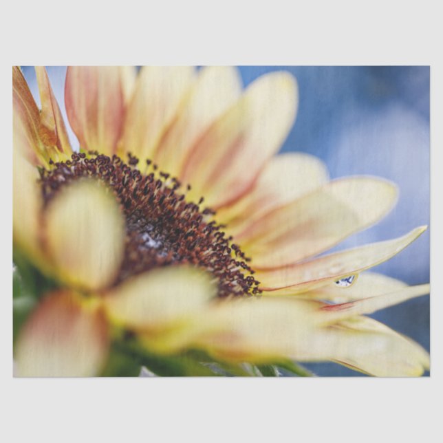 Papier Mousseline Cherry Rose Sunflower (Recto)