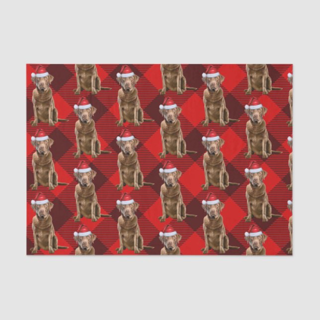 Papier Mousseline Chesapeake Bay Retriever Chien Noël (Recto)