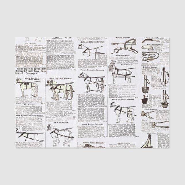 Papier Mousseline Cheval Antique Publicité Journal Art (Recto)