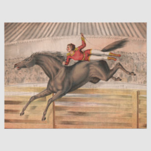 Papier Mousseline Cheval de cirque et daredevil survolant une clôtur