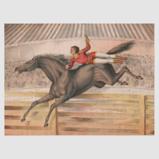 Papier Mousseline Cheval de cirque et daredevil survolant une clôtur