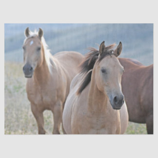 Papier Mousseline Cheval de couleur