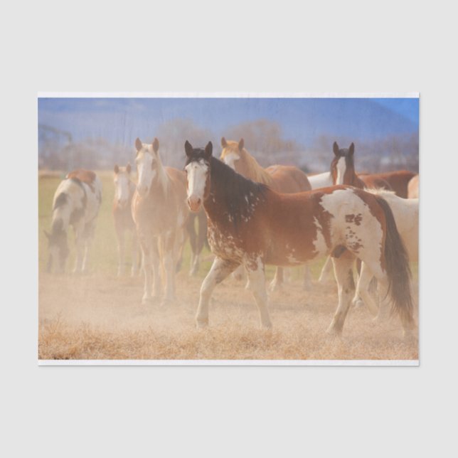 Papier Mousseline Cheval de l'Ouest (Recto)