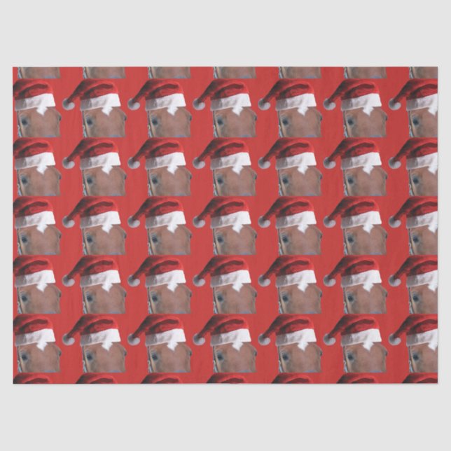 Papier Mousseline Cheval de Noël du Père Noël (Recto)
