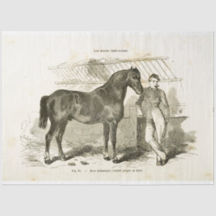 Papier Mousseline Cheval Ephemera Découpage Soldat français Vintage