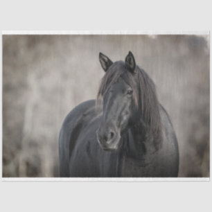 Papier Mousseline Cheval foncé