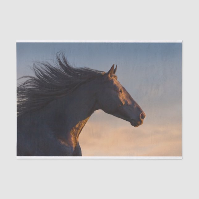 Papier Mousseline Cheval friésien noir au soleil (Recto)