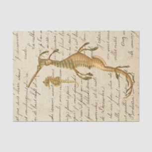 Papier Mousseline Cheval Marin Vintage
