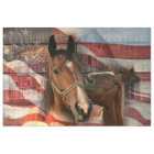Cheval Rustic Barne drapeau américain