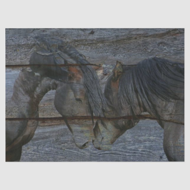 Papier Mousseline Chevaux (Recto)
