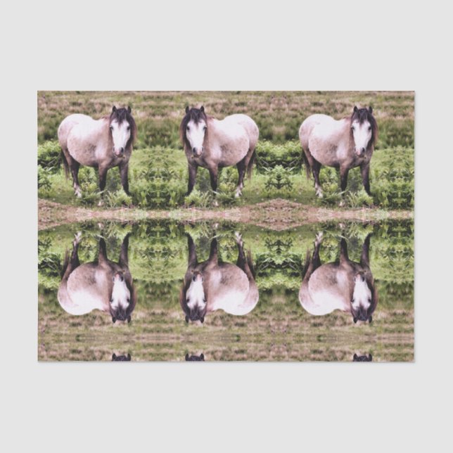 PAPIER MOUSSELINE CHEVAUX (Recto)