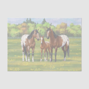 Papier Mousseline Chevaux Appaloosa De Baie Brown En Pâturage D'Été