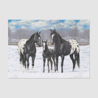 Papier Mousseline Chevaux Appaloosa Noir En Neige