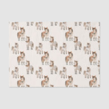 Chevaux bébés mignons