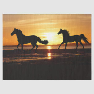 Papier Mousseline Chevaux Coureurs de Sunset Beach Découpage Tissu p