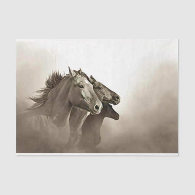 Papier Mousseline Chevaux courir avec Arrière - plan orageux (Recto)
