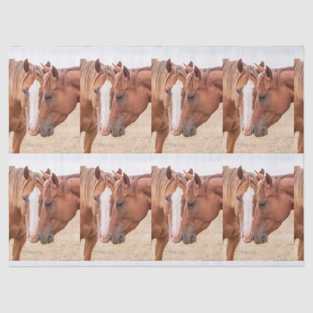 Papier Mousseline Chevaux étourdissant dans un pâturage (Recto)