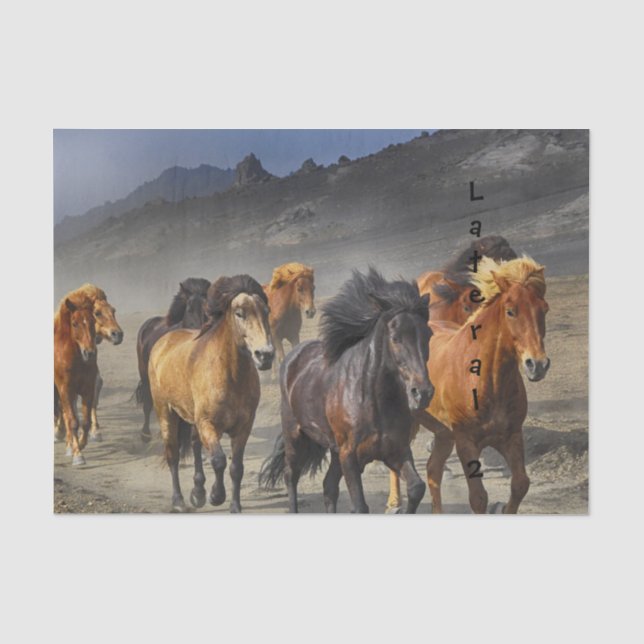 Papier Mousseline Chevaux sauvages (Recto)