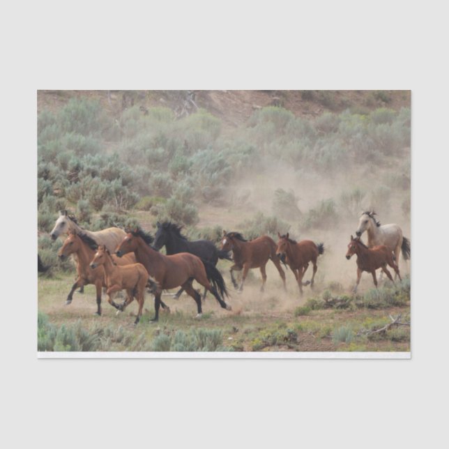 Papier Mousseline Chevaux sauvages (Recto)