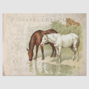 Papier Mousseline Chevaux vintages Page de découpage du parchemin