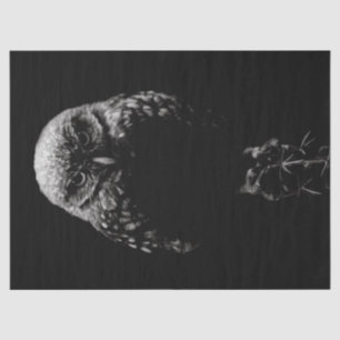 Papier Mousseline 'Chevêche des terriers'