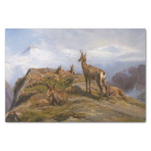 Papier Mousseline Chèvres chamois en montagne (par Rosa Bonheur)