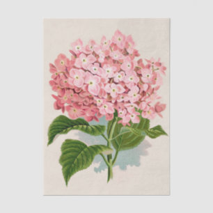 Papier Mousseline Chic Shabby Fleurs de Corail Rose Clair