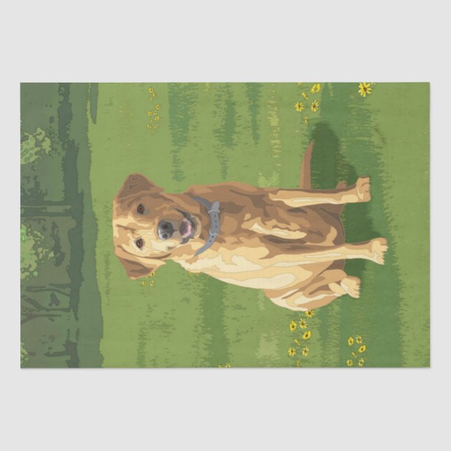 Papier Mousseline Chien de trieur du Labrador jaune (Recto)