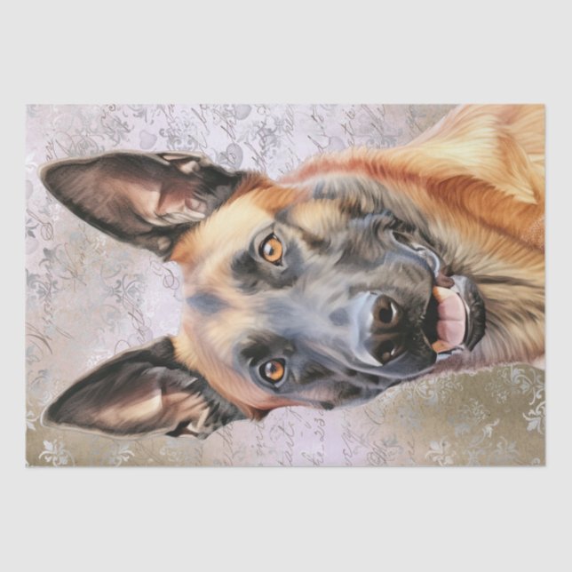 Papier Mousseline Chien Malinois, berger belge (Recto)